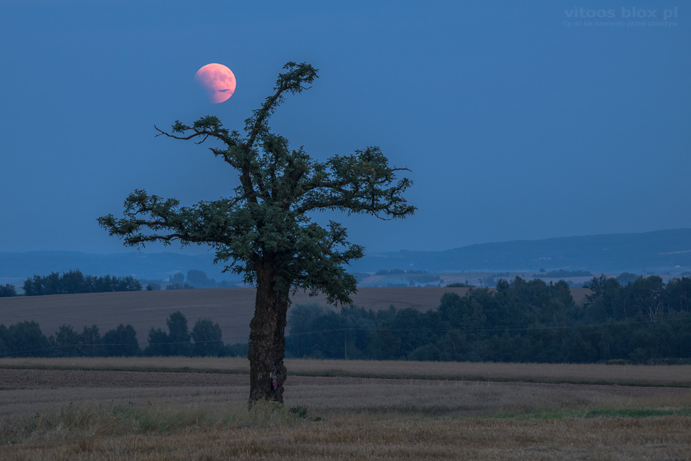 Fot. Witold Ochał, całkowite zacmienie Księżyca, 27.070.2018