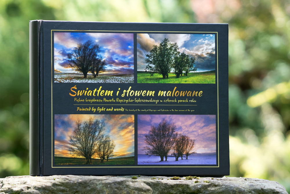 Światłem i słowem malowane, powiat ropczycko-sędziszowski