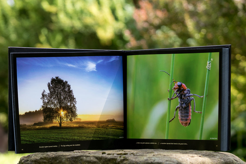 Światłem i słowem malowane, powiat ropczycko-sędziszowski