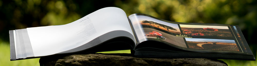 Światłem i słowem malowane, powiat ropczycko-sędziszowski