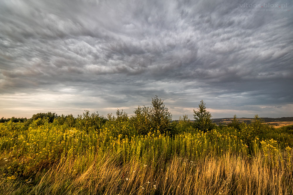 Fot. Witold Ochał, Zagorzyce, kolorowe niebo