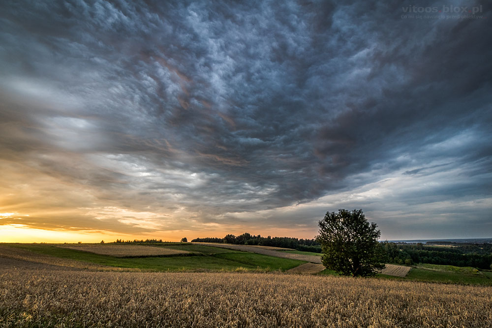 Fot. Witold Ochał, Zagorzyce, kolorowe niebo