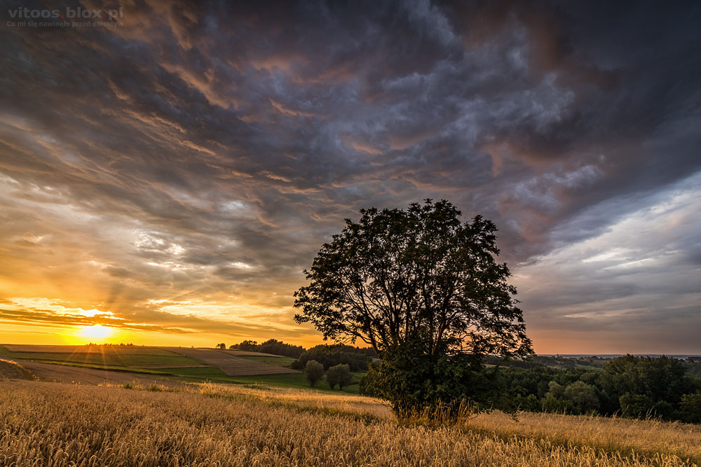Fot. Witold Ochał, Zagorzyce, kolorowe niebo