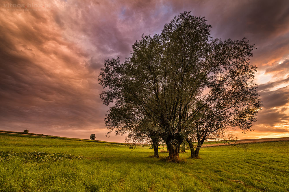 Fot. Witold Ochał, Zagorzyce, kolorowe niebo