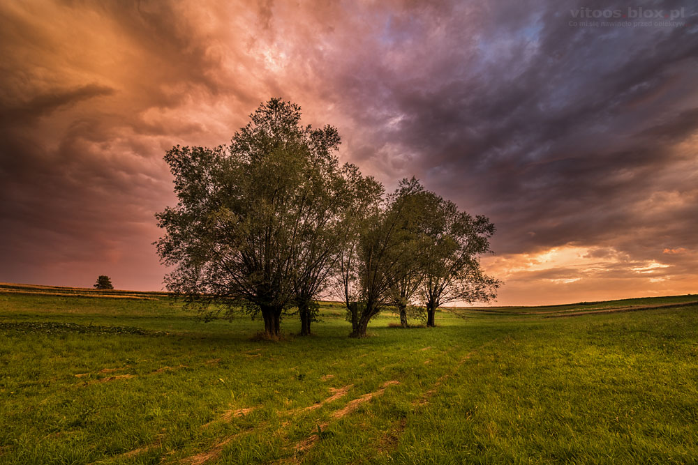 Fot. Witold Ochał, Zagorzyce, kolorowe niebo