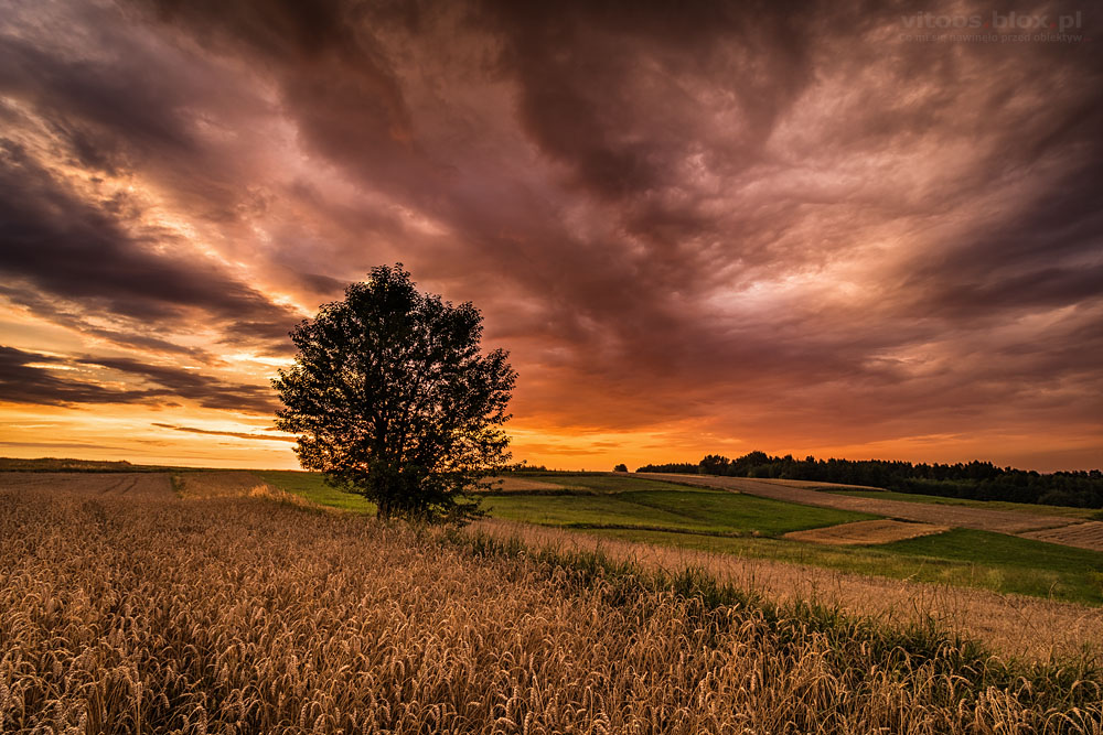 Fot. Witold Ochał, Zagorzyce, kolorowe niebo
