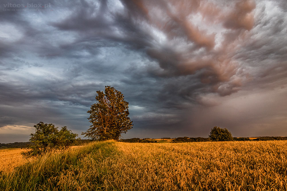 Fot. Witold Ochał, Zagorzyce, kolorowe niebo i tęcza