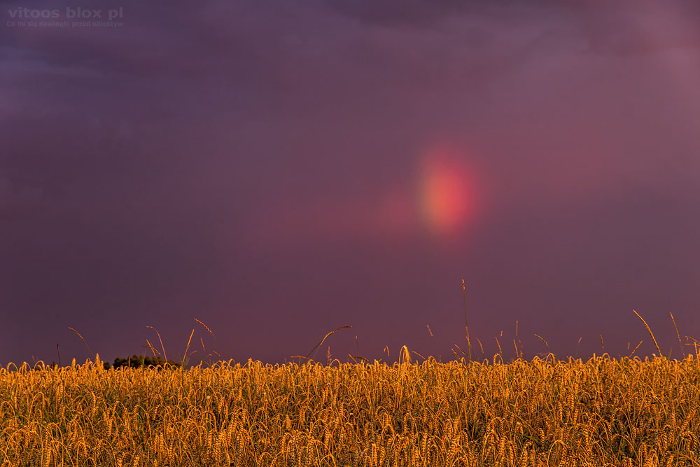Fot. Witold Ochał, Zagorzyce, kolorowe niebo i tęcza