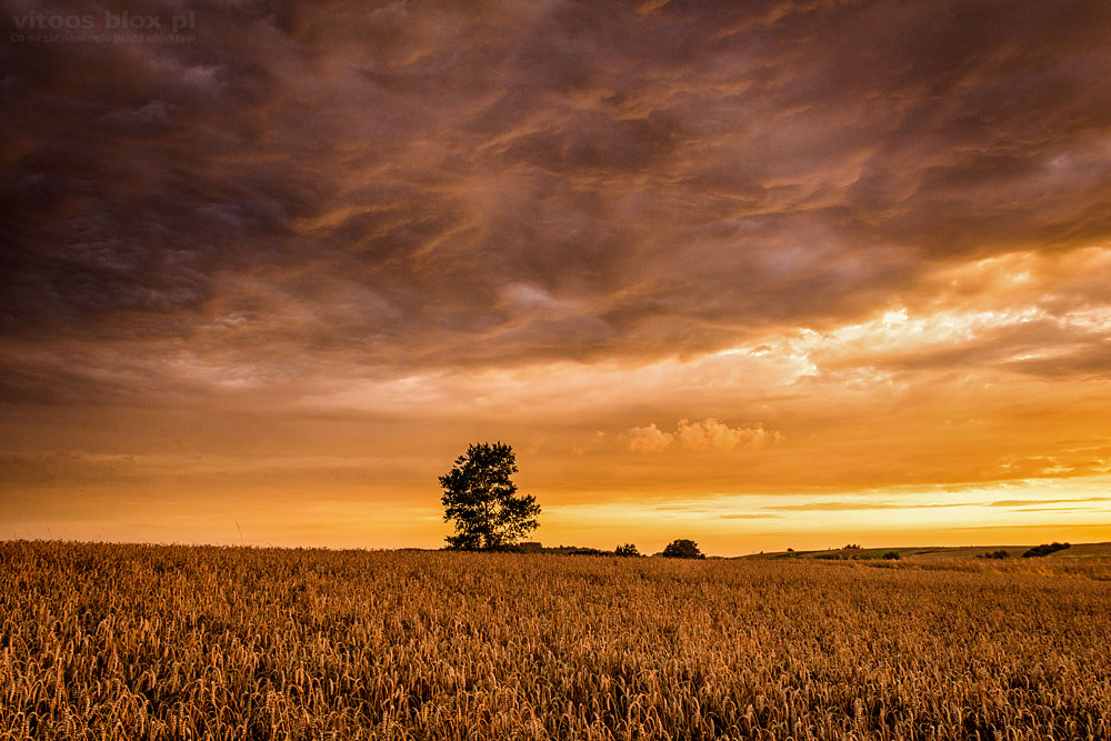 Fot. Witold Ochał, Zagorzyce, kolorowe niebo i tęcza