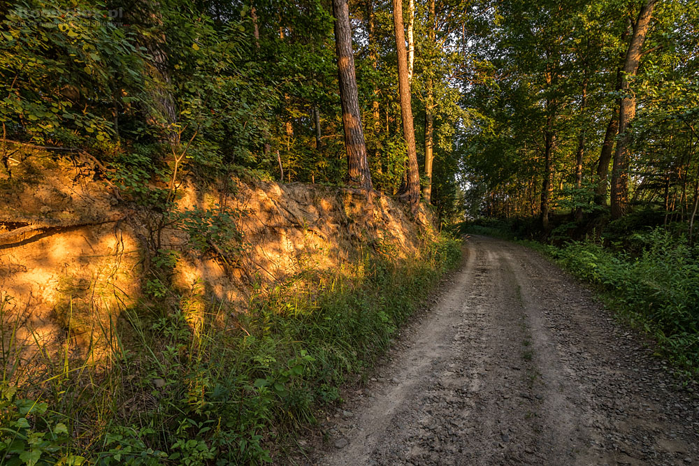 Fot. Witold Ochał, Zagorzyce, wąwóz
