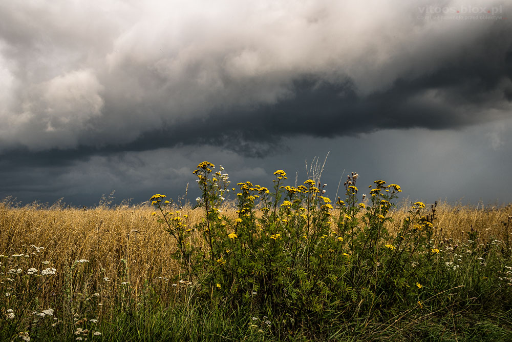 Fot. Witold Ochał, burza w okolicy Rzeszowa
