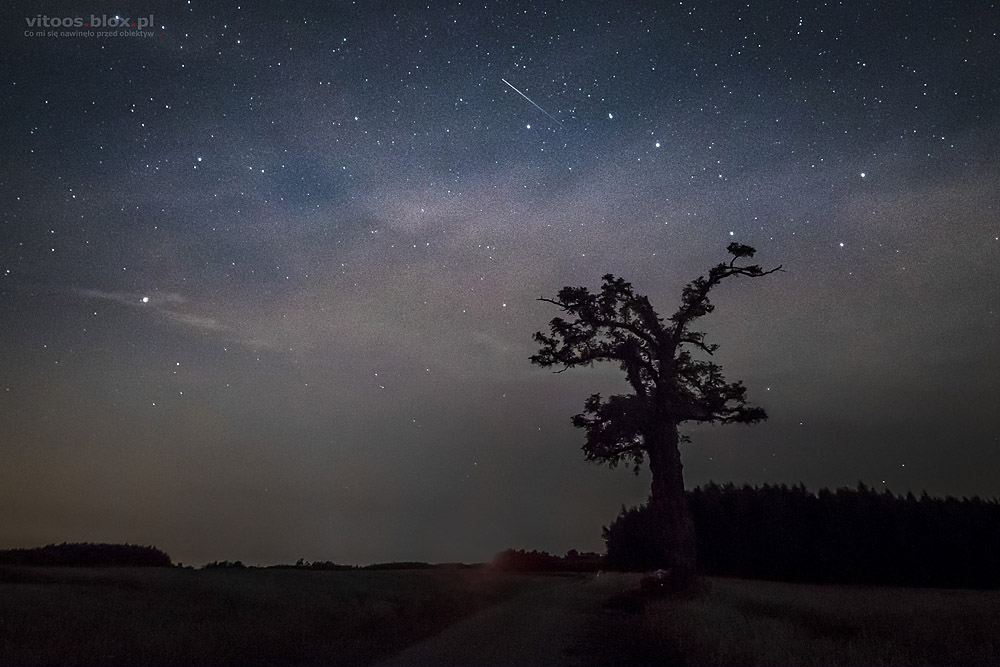 Fot. Witold Ochał, Nockowa, akcje Perseid