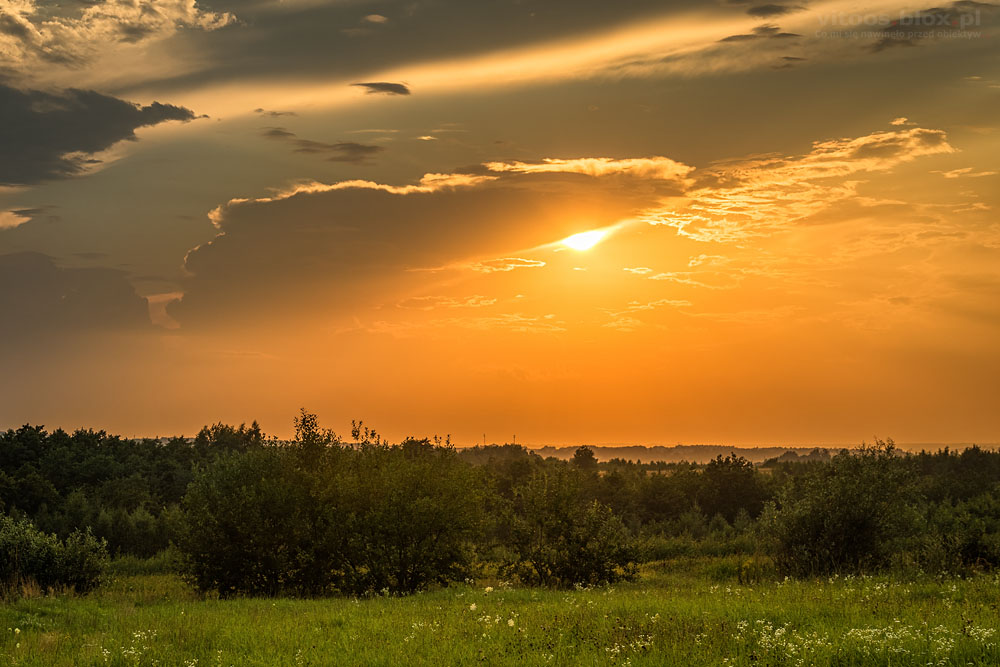 Fot. Witold Ochał, Zagorzyce, zachód słońca