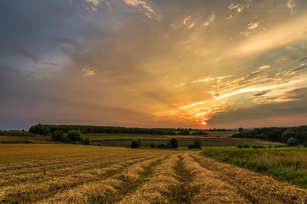Fot. Witold Ochał, Zagorzyce, zachód słońca