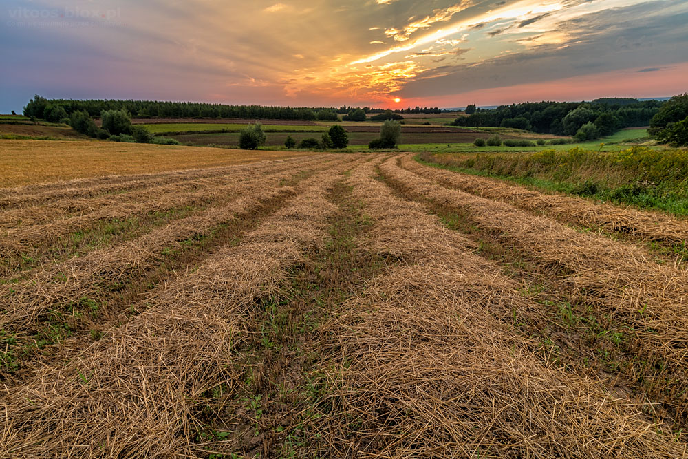 Fot. Witold Ochał, Zagorzyce, zachód słońca