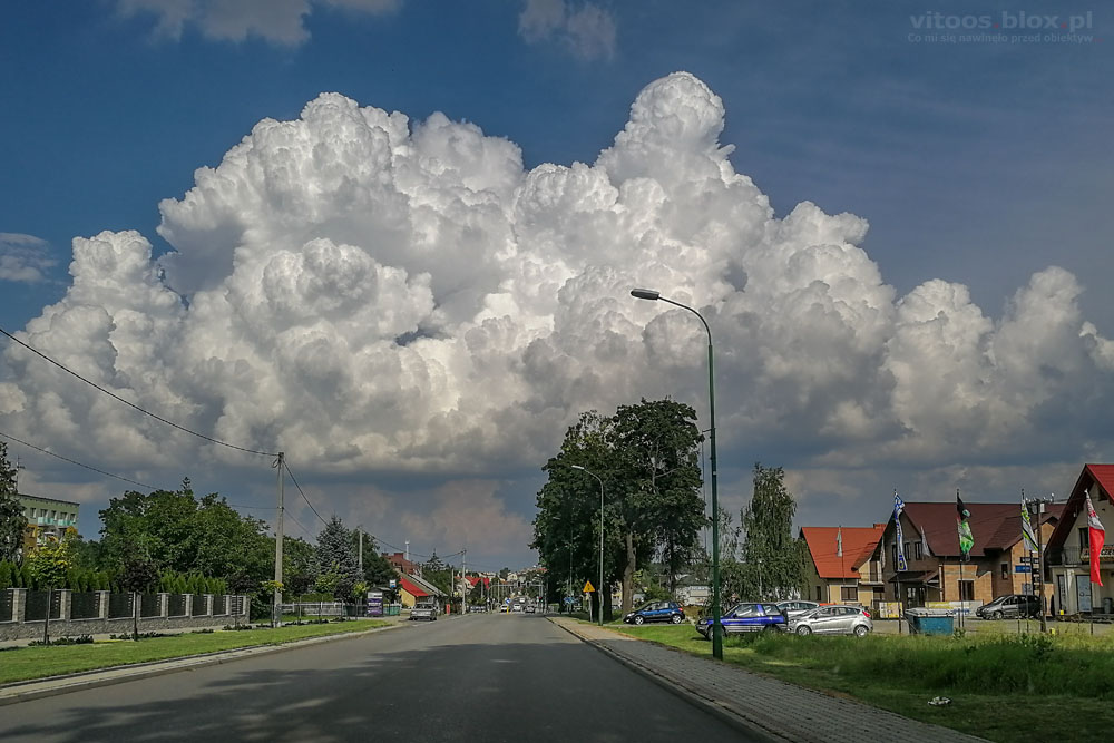 Fot. Witold Ochał, Sędziszów Małopolski