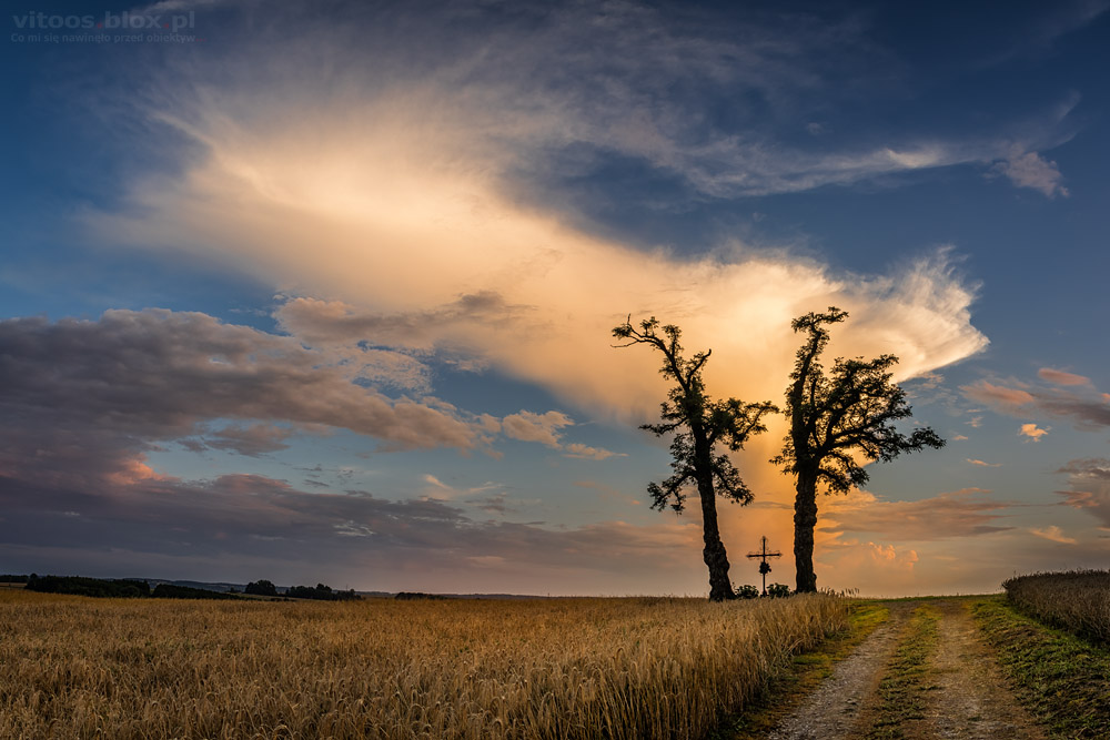Fot. Witold ochał, akacje Nockowa, kowadło burzy