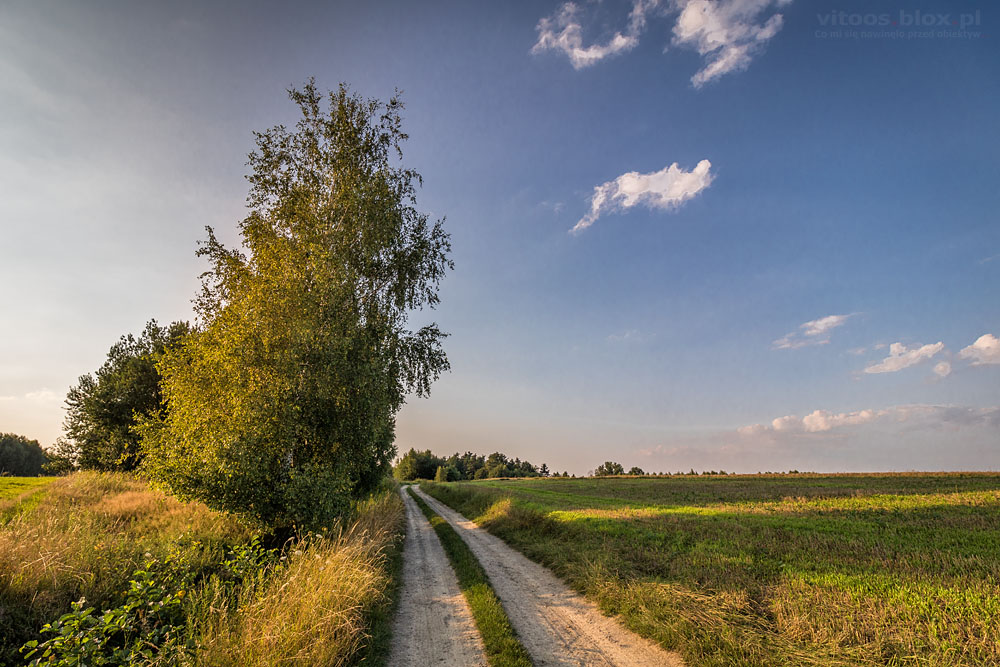Fot. Witold Ochał, spacer po zagorzyckich polach
