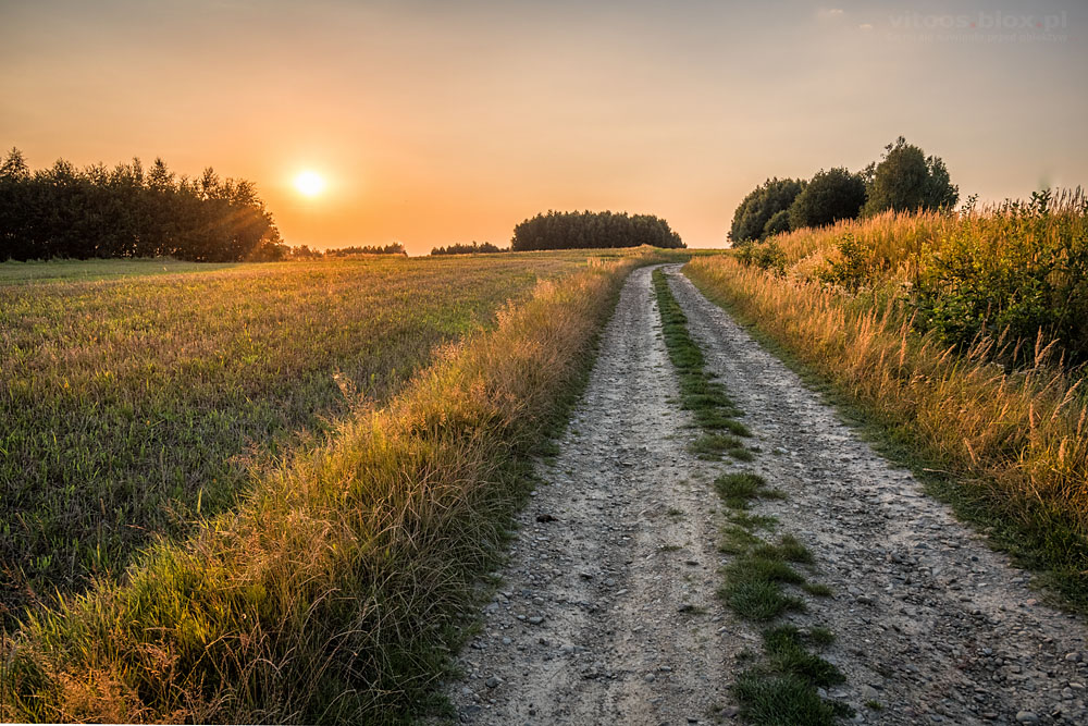 Fot. Witold Ochał, spacer po zagorzyckich polach