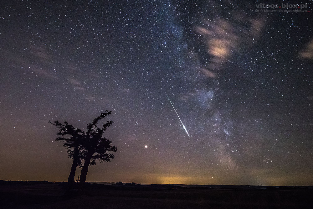 Fot. Witold Ochał, perseidy, akacje, Nockowa