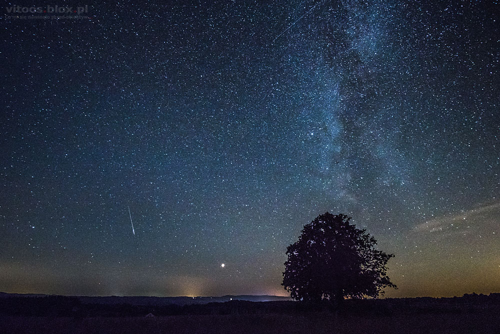 Fot. Witold Ochał, perseidy, Szkodna astrodrzewko