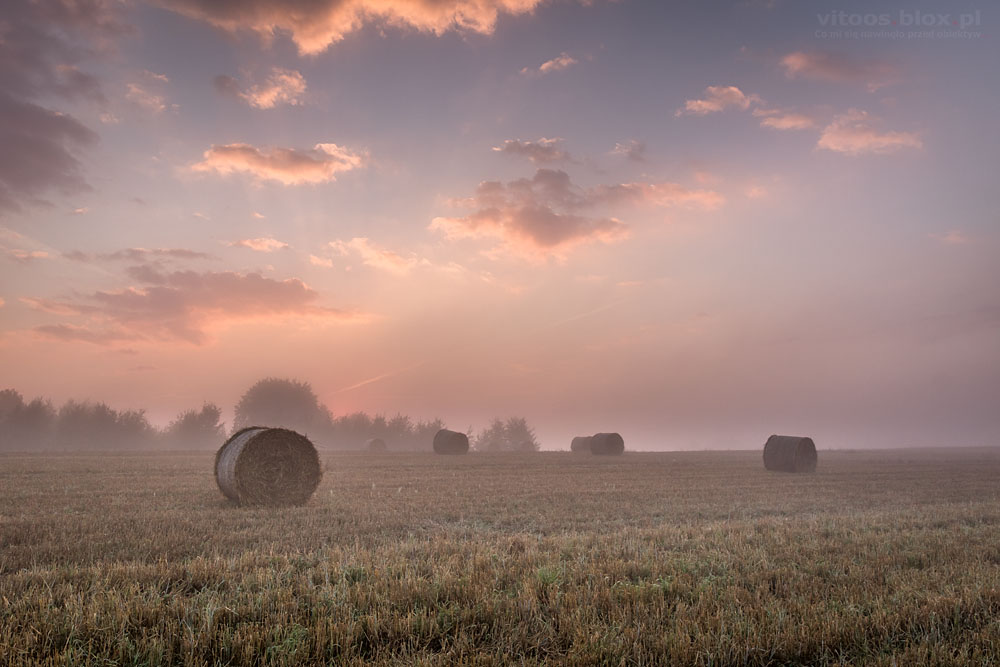 Fot. Witold Ochał, Szufnarowa, wschód słońca na ściernisku