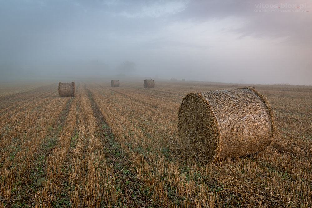Fot. Witold Ochał, Szufnarowa, wschód słońca na ściernisku