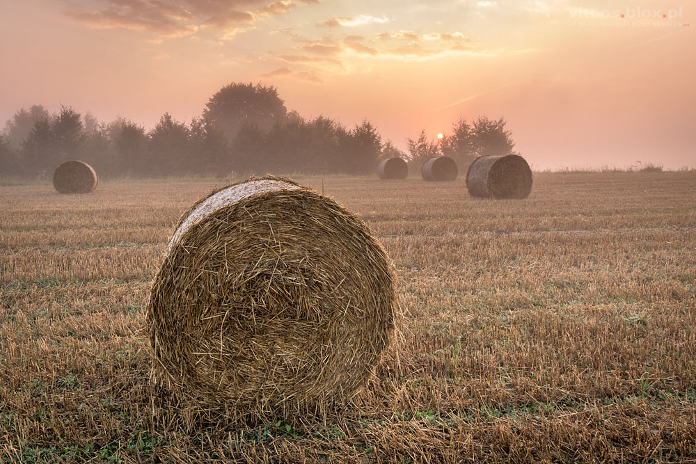 Fot. Witold Ochał, Szufnarowa, wschód słońca na ściernisku