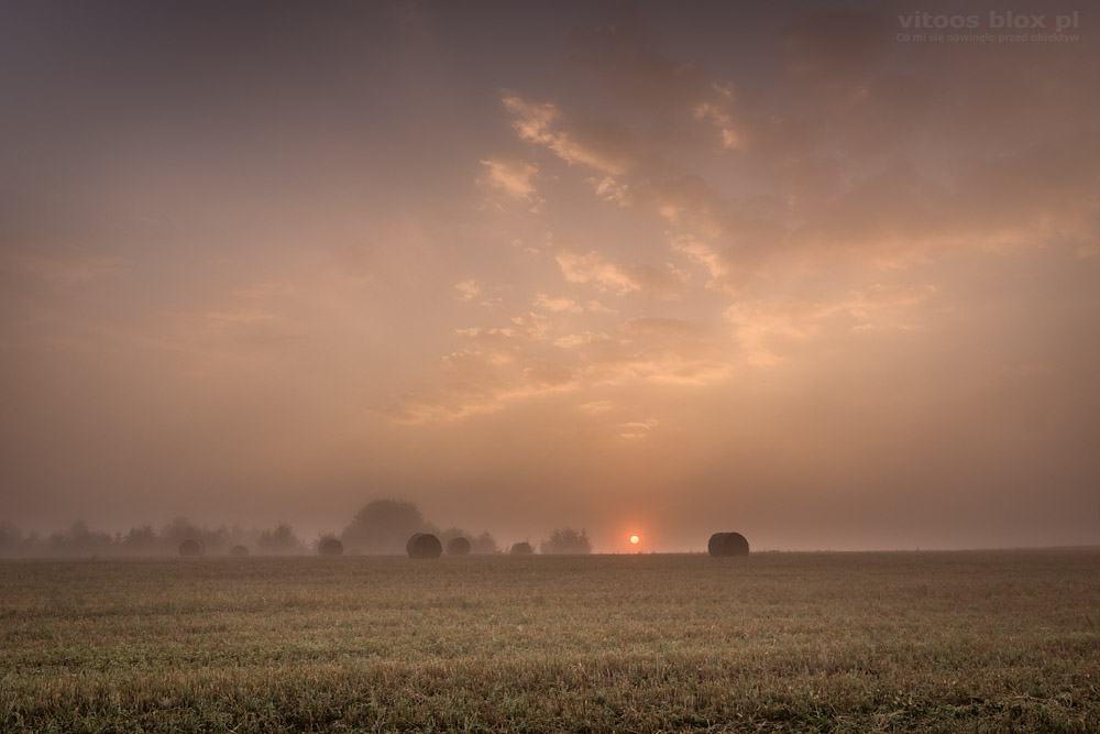 Fot. Witold Ochał, Szufnarowa, wschód słońca na ściernisku
