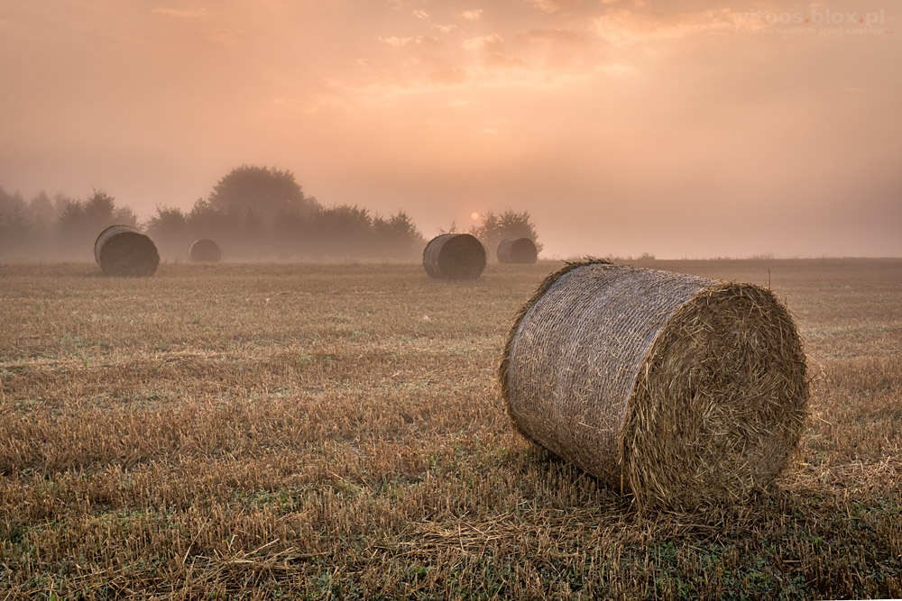 Fot. Witold Ochał, Szufnarowa, wschód słońca na ściernisku