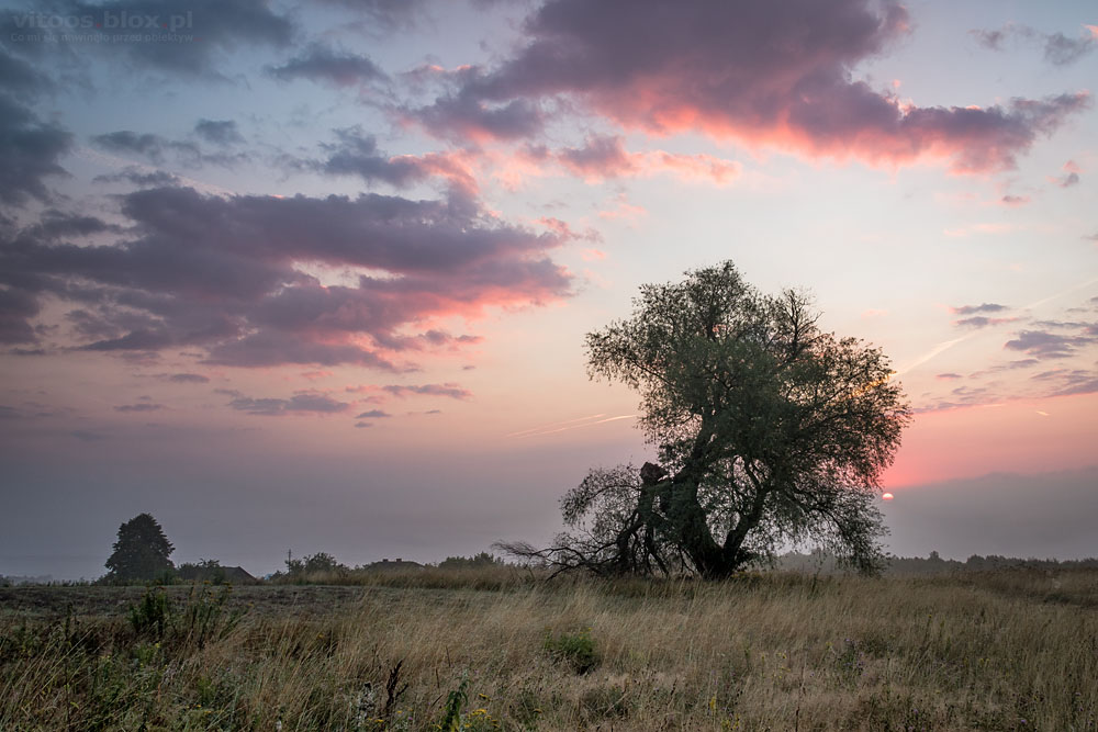 Fot. Witold Ochał, Szufnarowa
