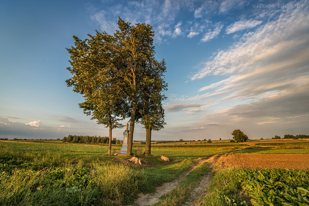 Fot. Witold Ochał, Gnojnica, krajobraz po żniwach