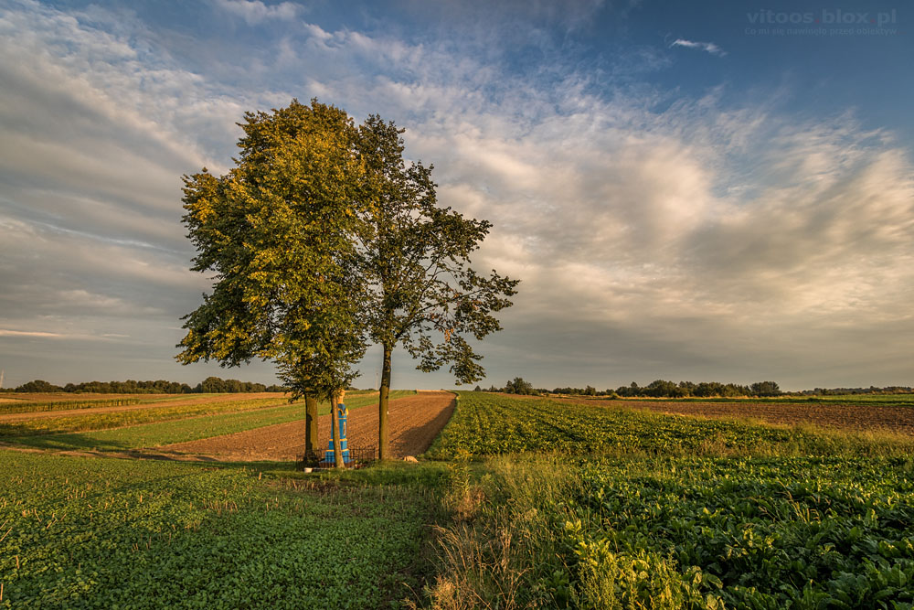 Fot. Witold Ochał, Gnojnica, krajobraz po żniwach
