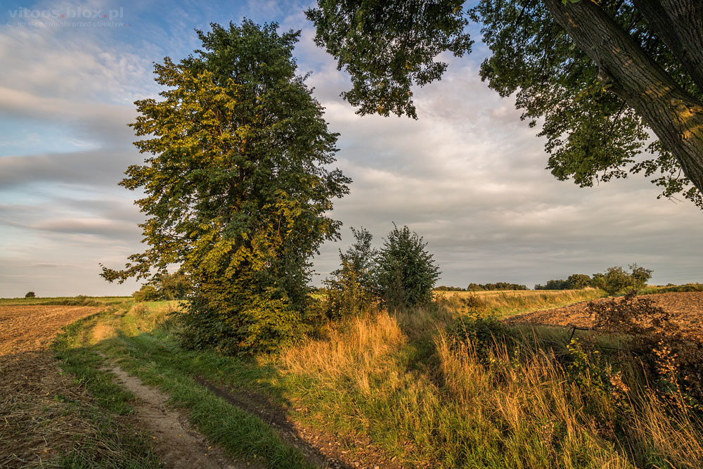 Fot. Witold Ochał, Gnojnica, krajobraz po żniwach