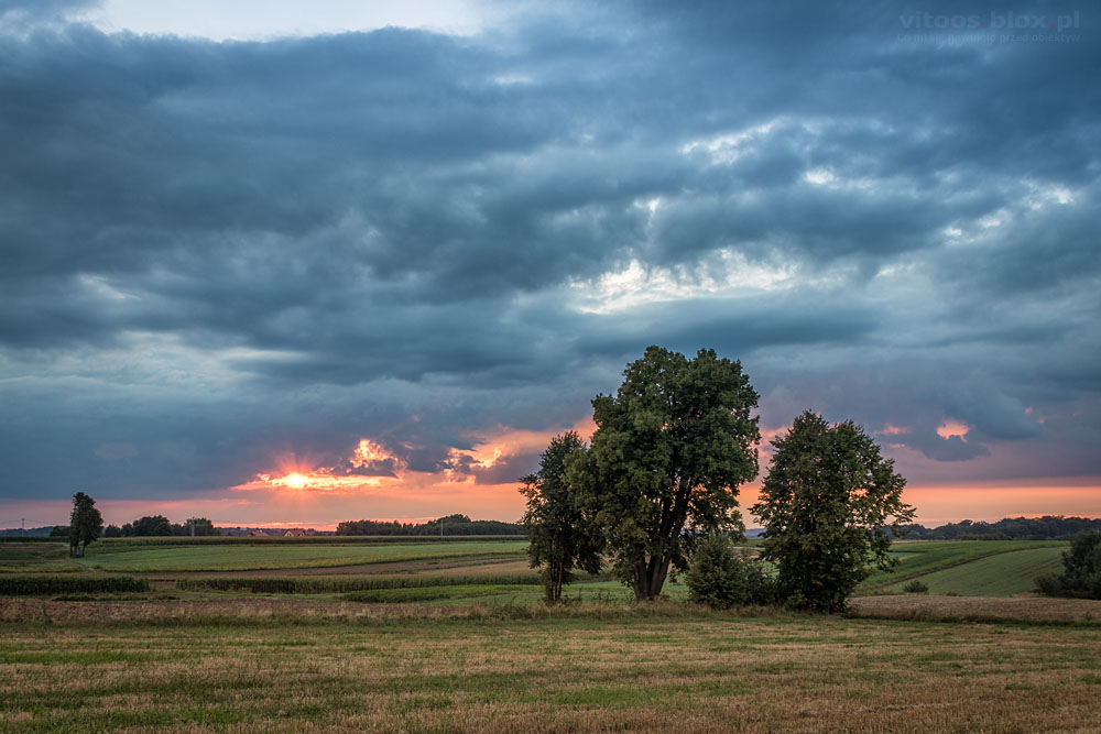Fot. Witold Ochał, zachód słońca, Gnojnica