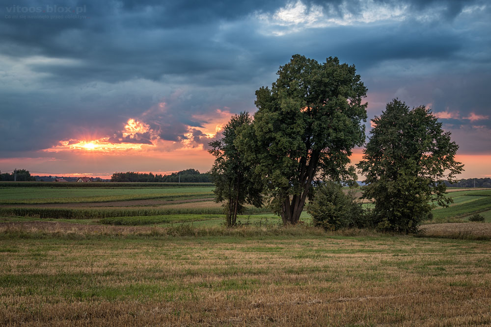Fot. Witold Ochał, zachód słońca, Gnojnica