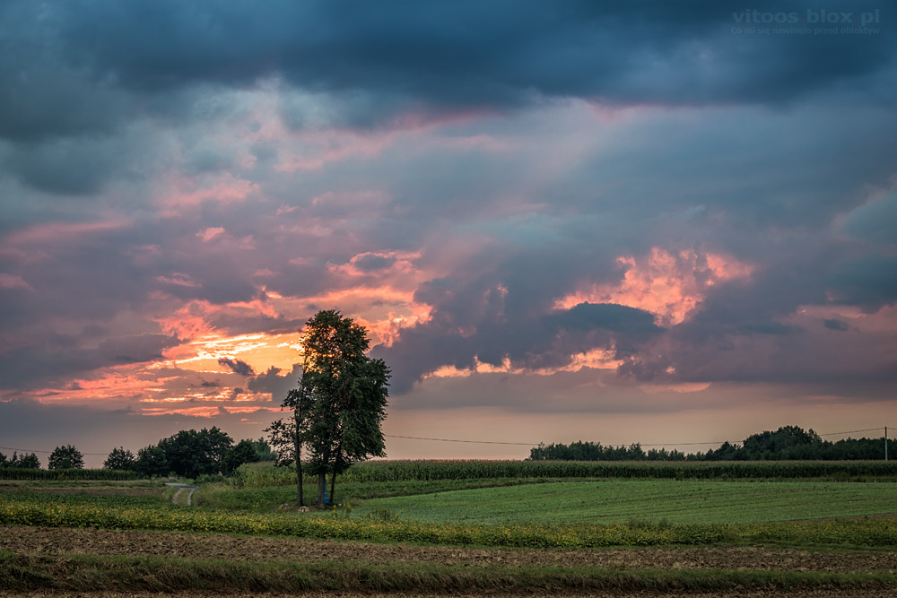 Fot. Witold Ochał, zachód słońca, Gnojnica