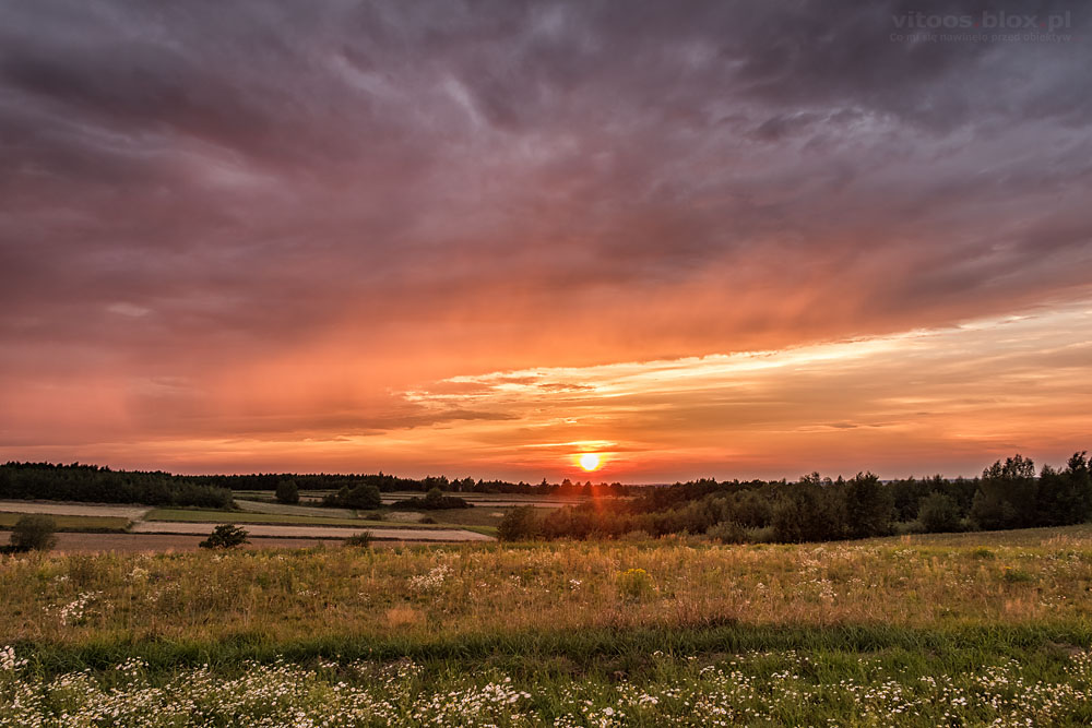 Fot. Witold Ochał, Zagorzyce