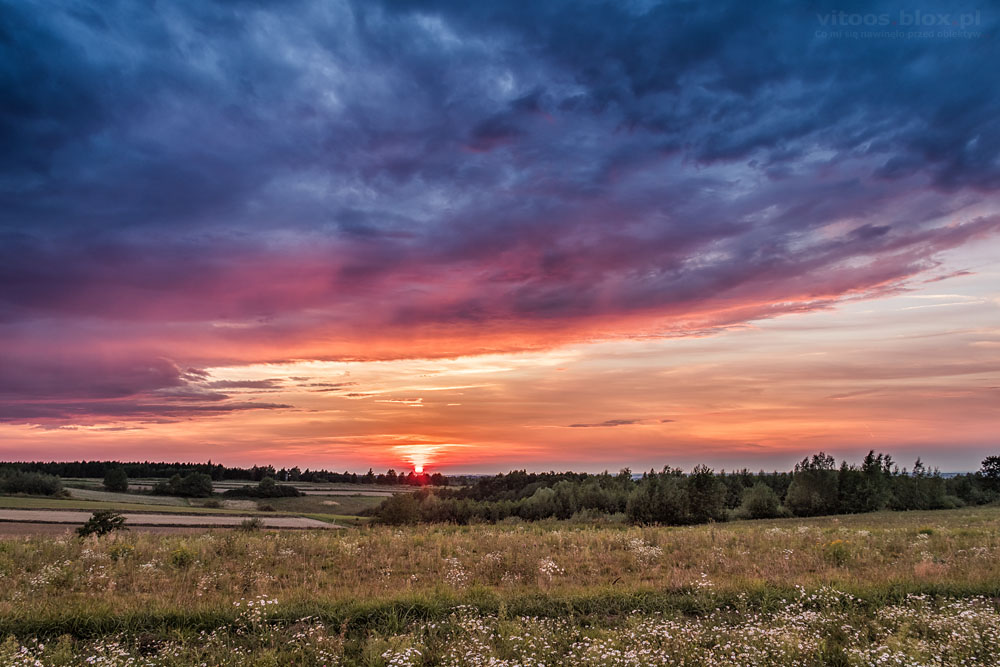 Fot. Witold Ochał, Zagorzyce