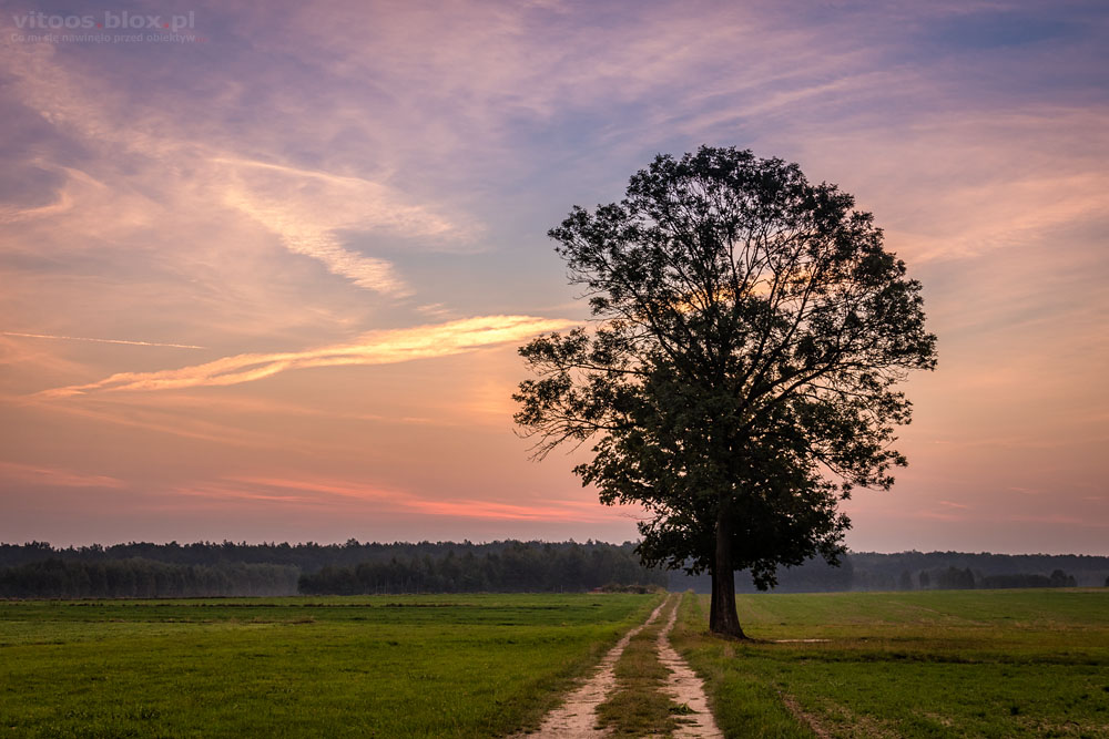 Fot. Witold Ochał, Krzywa, wschód słońca