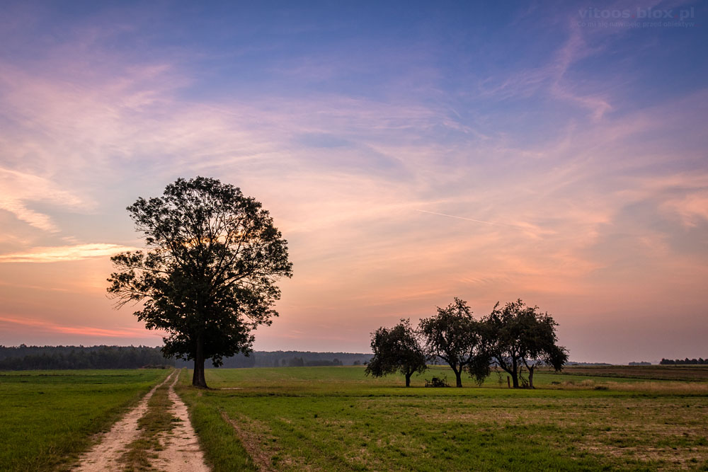 Fot. Witold Ochał, Krzywa, wschód słońca