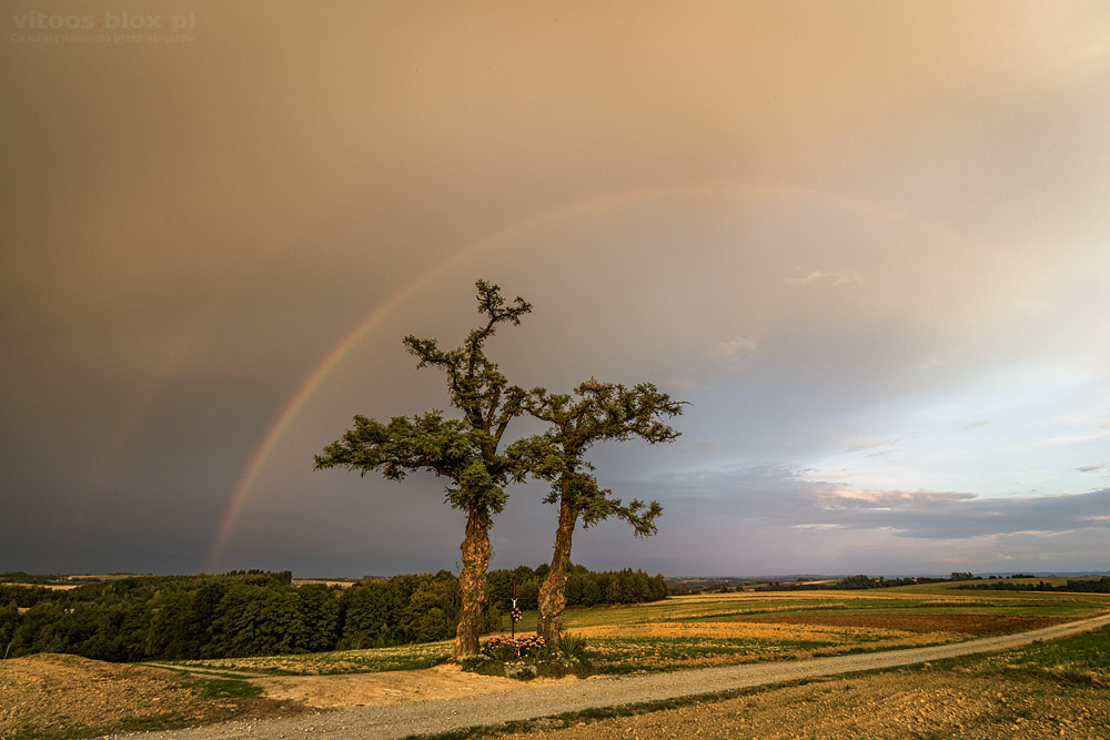 Fot. Witold Ochał, tęcza nad akacjami, Nockowa