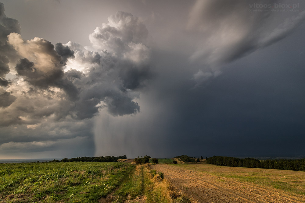 Fot. Witold Ochał, ściana deszczu, Trzciana
