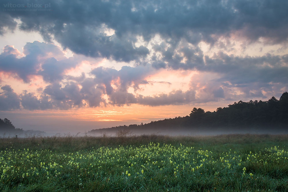 Fot. Witold Ochał, wschód słońca, Czarna Sędziszowska