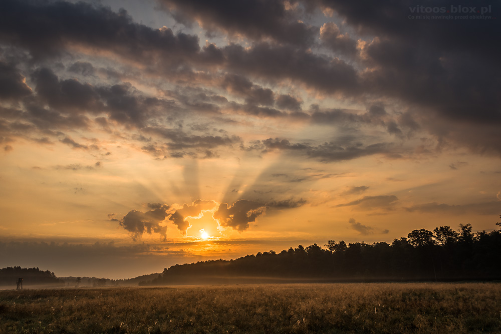 Fot. Witold Ochał, wschód słońca, Czarna Sędziszowska