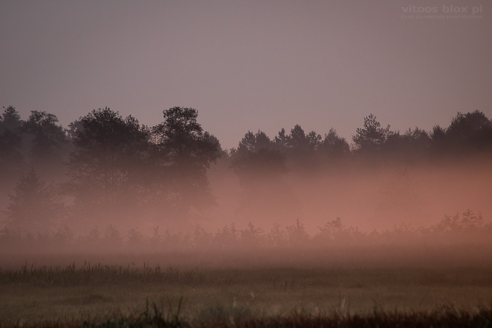 Fot. Witold Ochał, wschód słońca, Czarna Sędziszowska