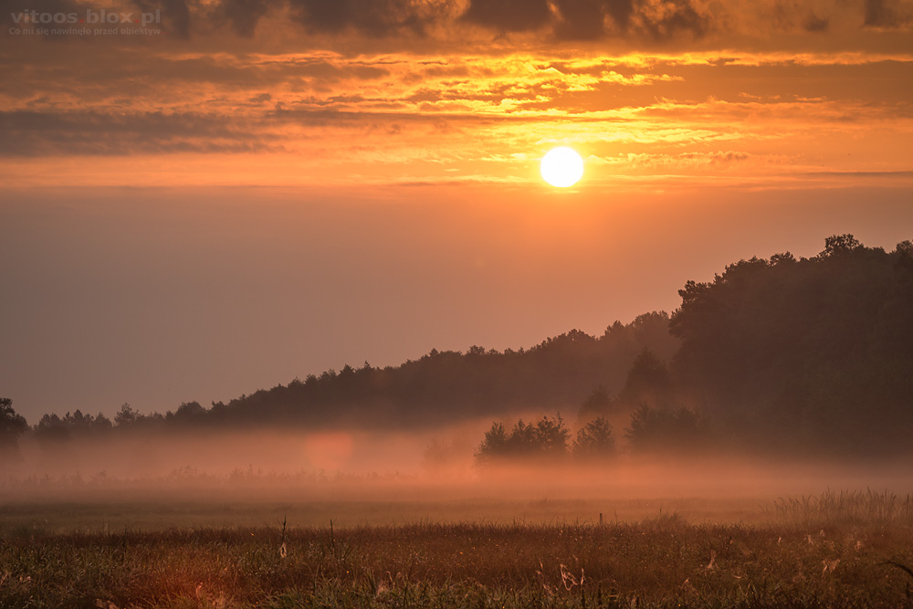 Fot. Witold Ochał, wschód słońca, Czarna Sędziszowska
