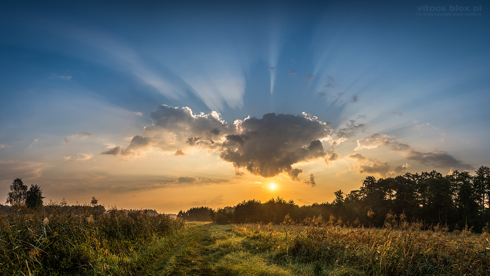 Fot. Witold Ochał, cienie chmur, Czarna Sędziszowska