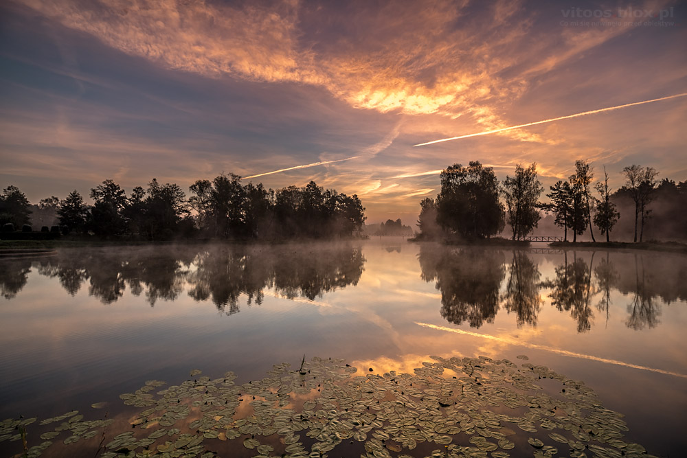 Fot. Witold Ochał, zalew w Kamionce