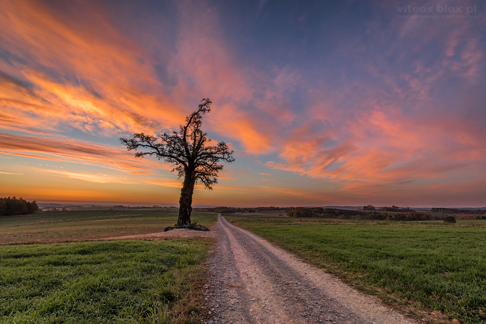 Fot. Witold Ochał, Czarna Sędziszowska, poranek, mgła